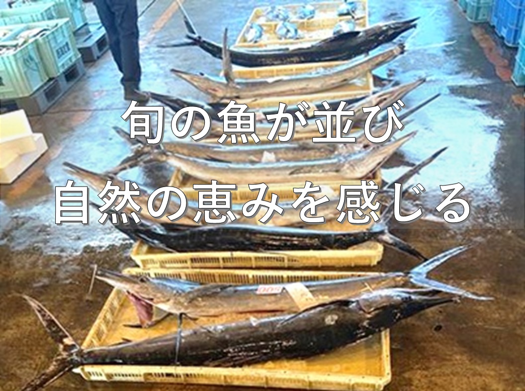 かなざわ総合市場　朝セリ