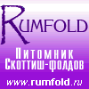 rumfold