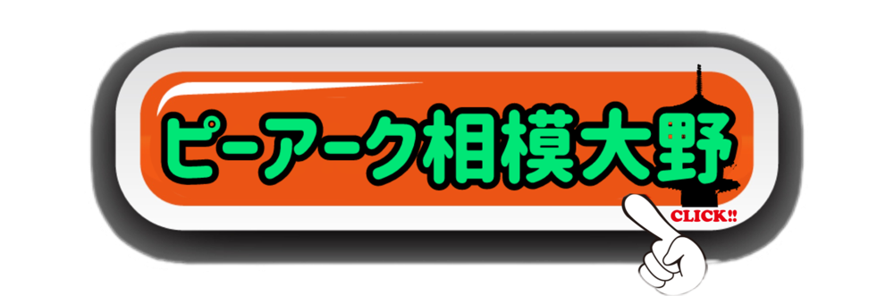 ピーアーク相模大野