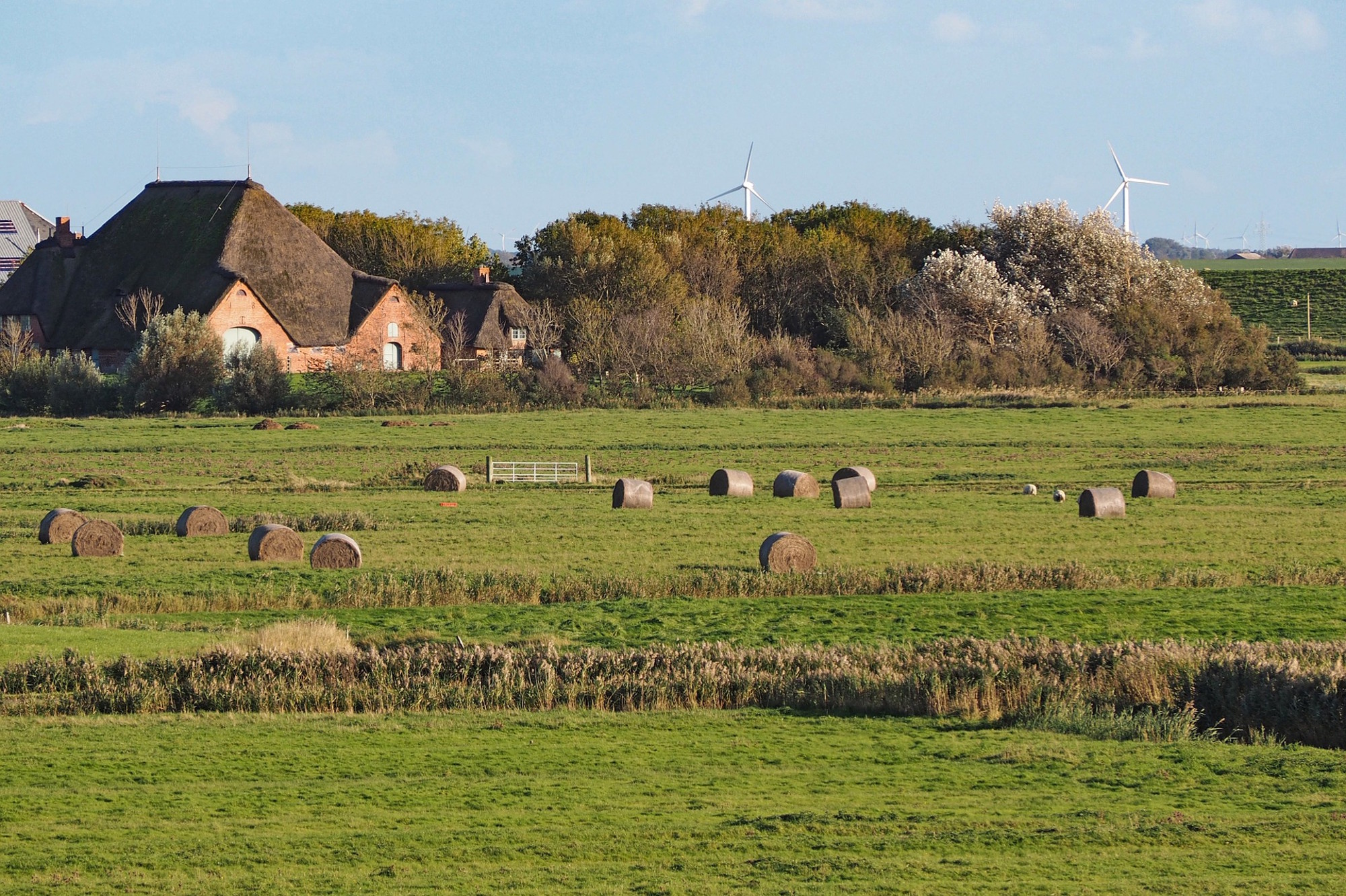 Familiäre Pension Zimmer an der Nordsee. Nordfriesland Husum