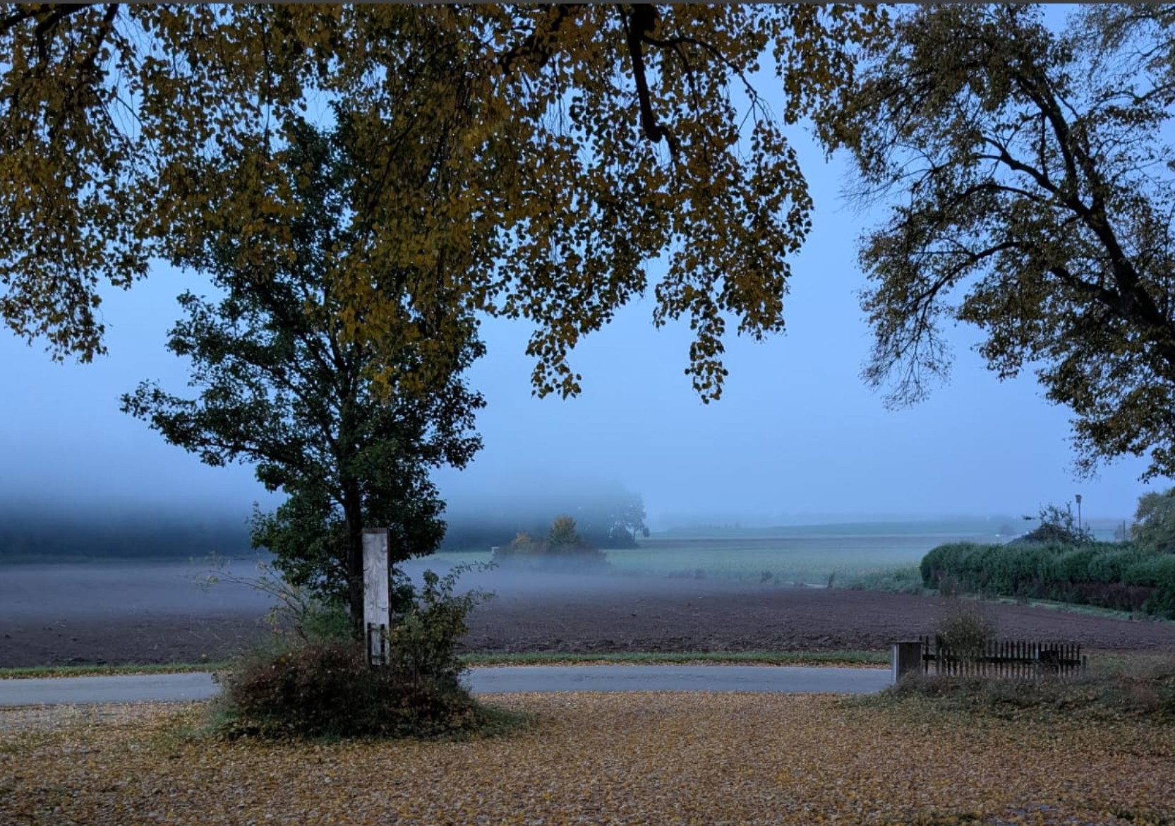 November - Licht und Schatten bewusst wahrnehmen