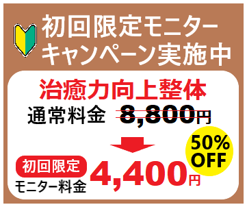 初回モニター通常8600円→4300円！５０％オフ！※定員になり次第終了します