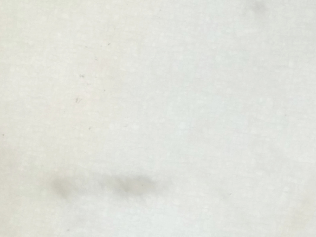 white marble tile, white marble, white carrara marble, carrara white, white calacatta marble, calacatta white marble, white royal marble