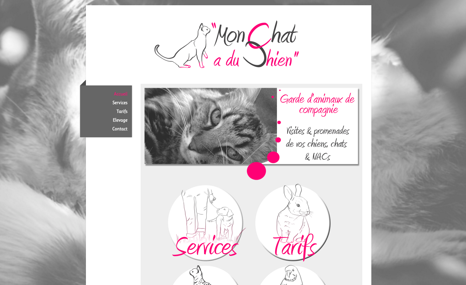 http://www.mon-chat-a-du-chien.fr/