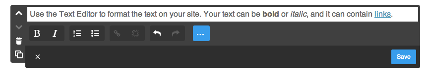 The text editor