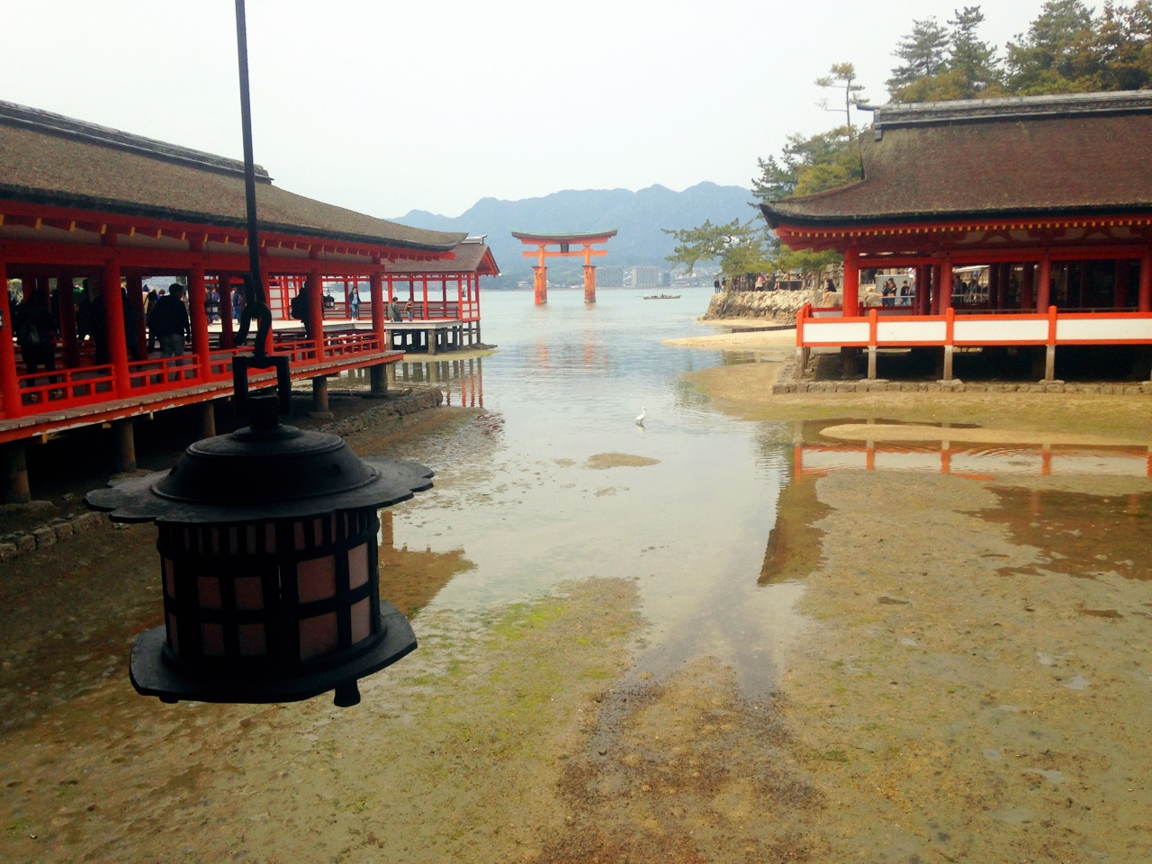 このたびのたび 世界遺産 日本三景 厳島神社 宮島 弥山