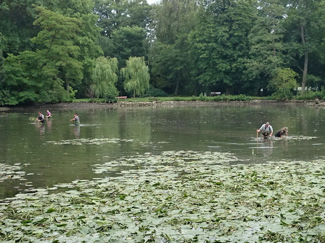 Arbeitseinsatz am Teich