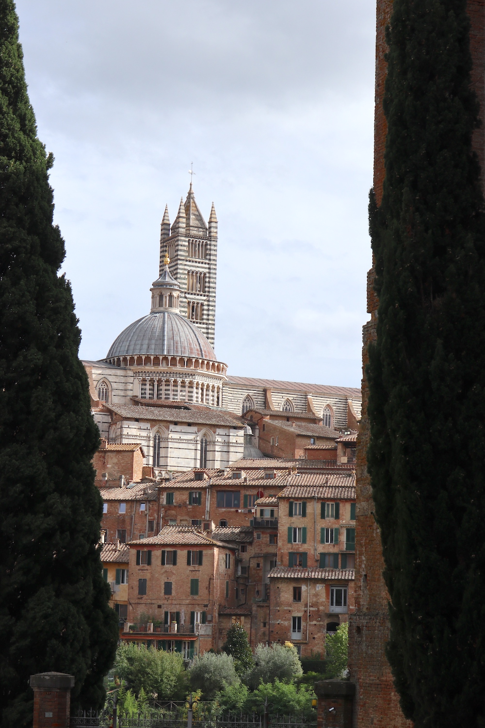 Sienne vue depuis San Domenico