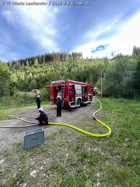 Übung - Waldbrand