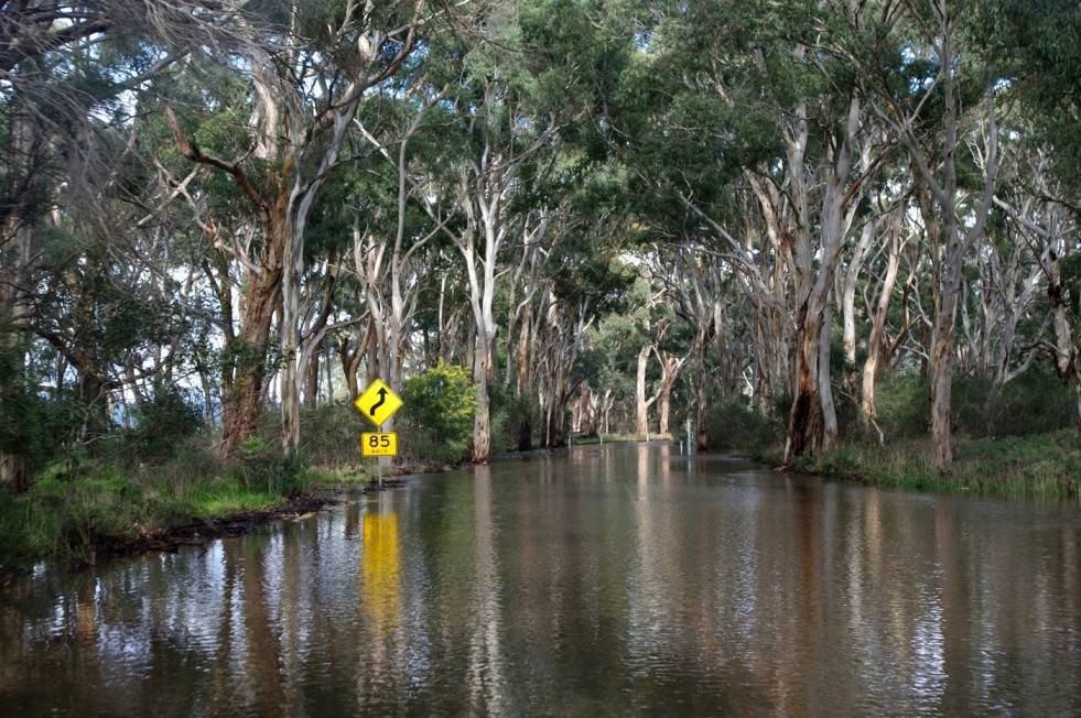 Water Over Road I