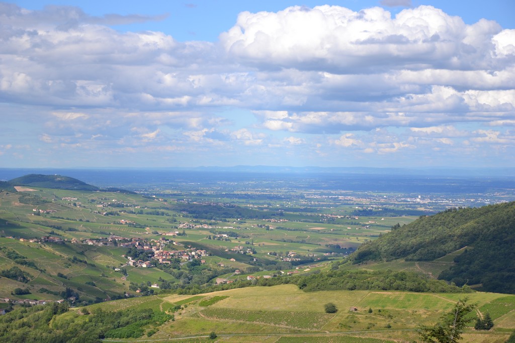 Vue panoramique sur Clochemerle et la Vallée de la Sâone