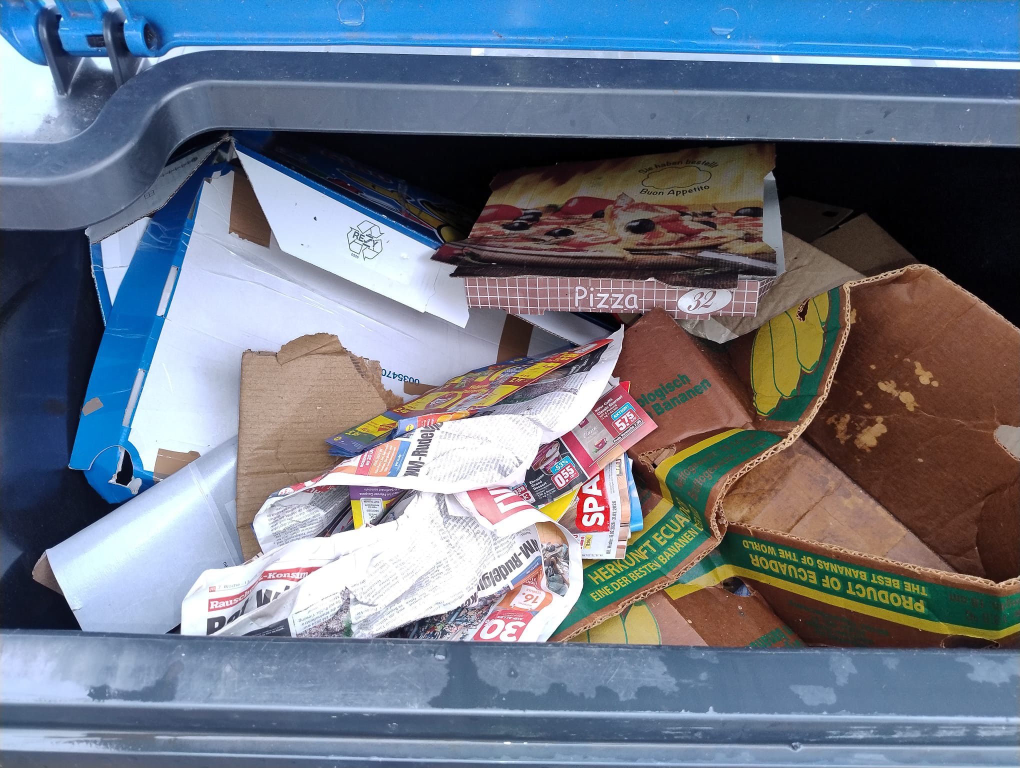 Februar 2026: Papiercontainer Steubenstraße