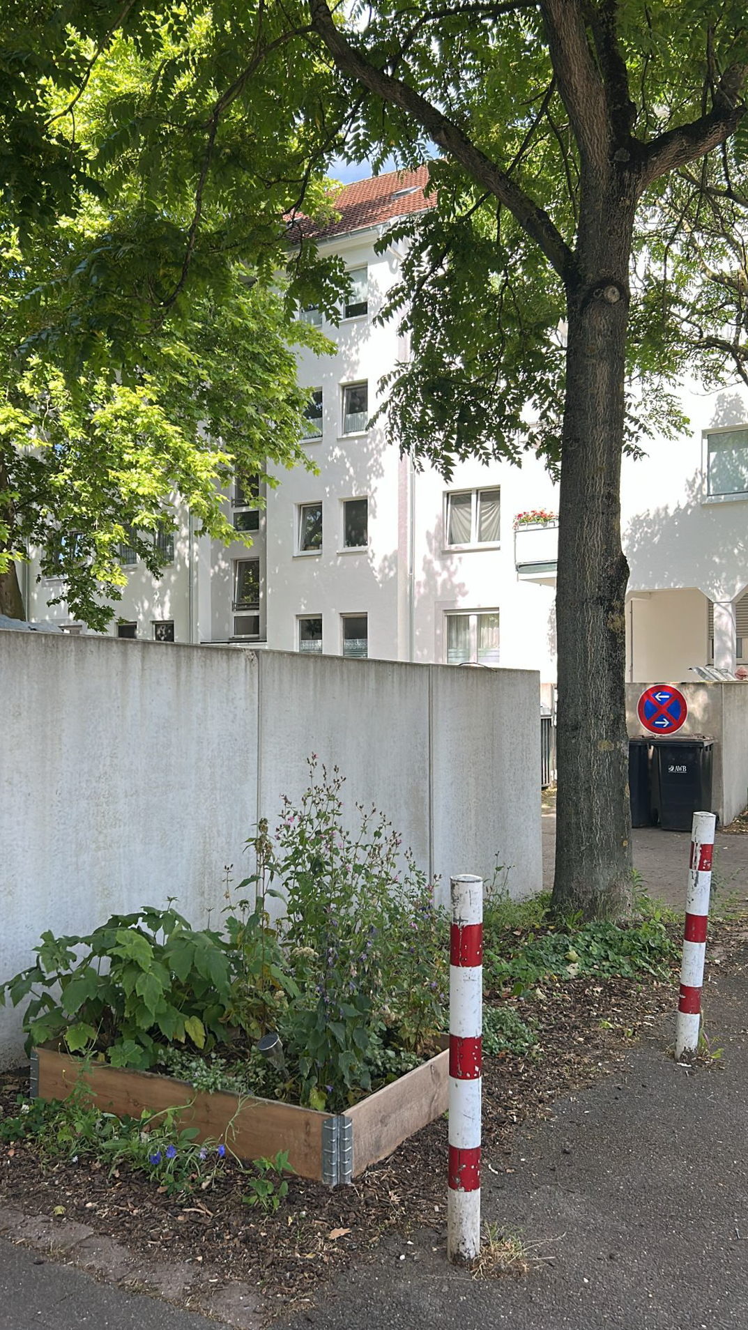 April 2025: Beet am Müllplatz Steubenstraße