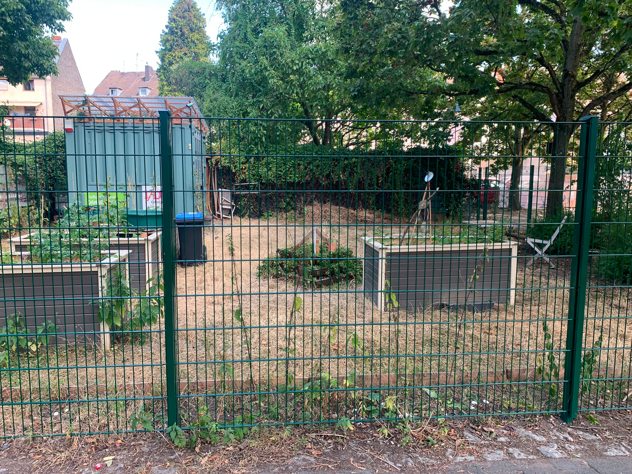 Juli 2026: Genovevagarten