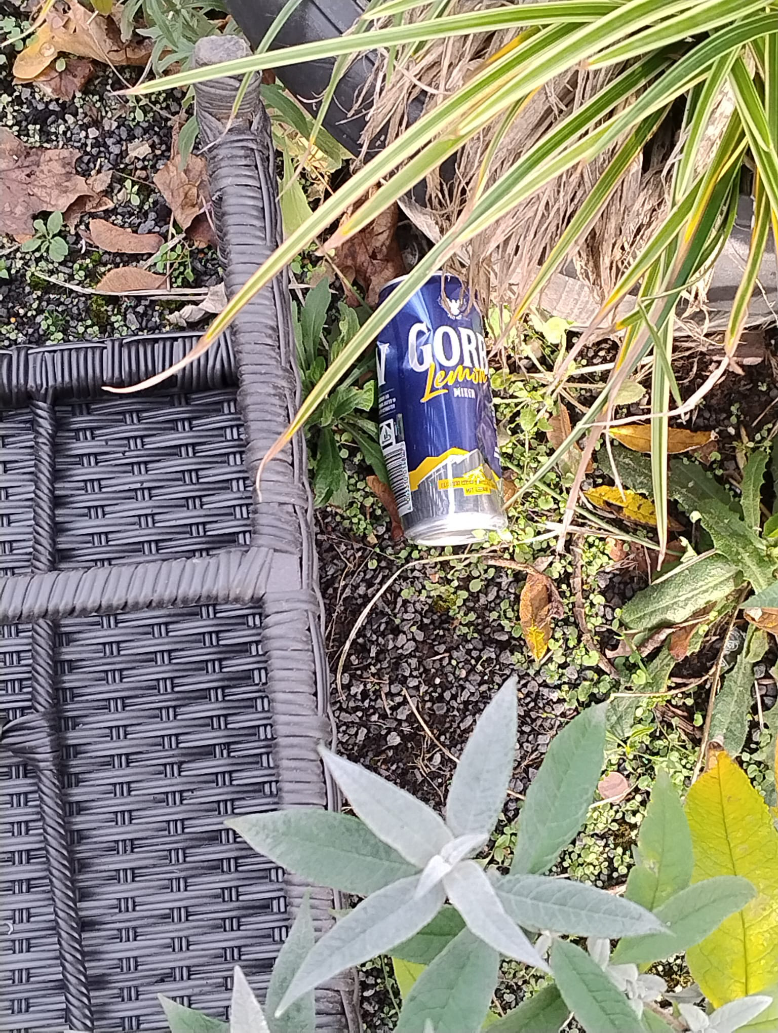 Oktober 2025: Wilder Müll im Vitalisgärtchen