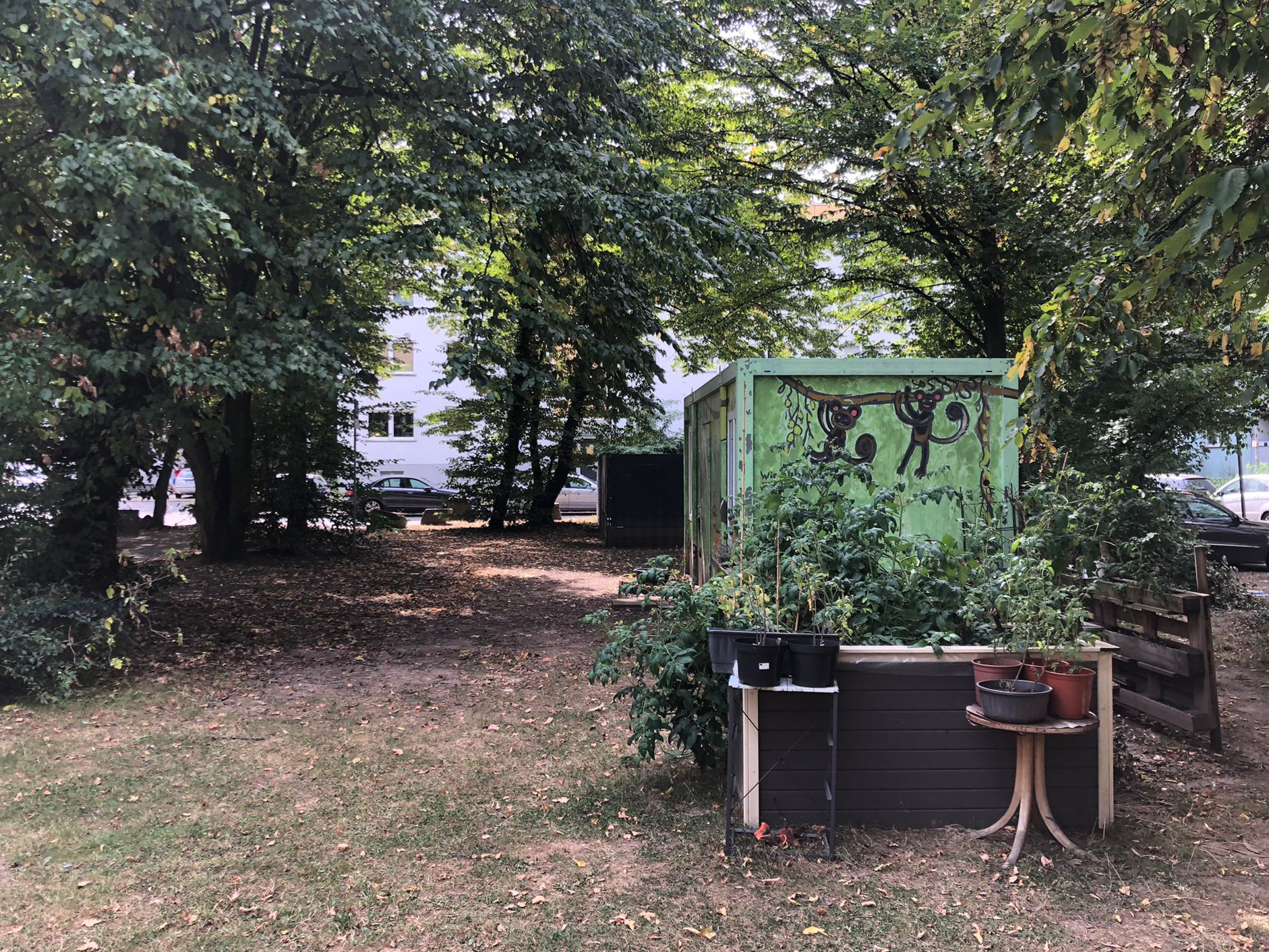 August 2025: Container und Beete