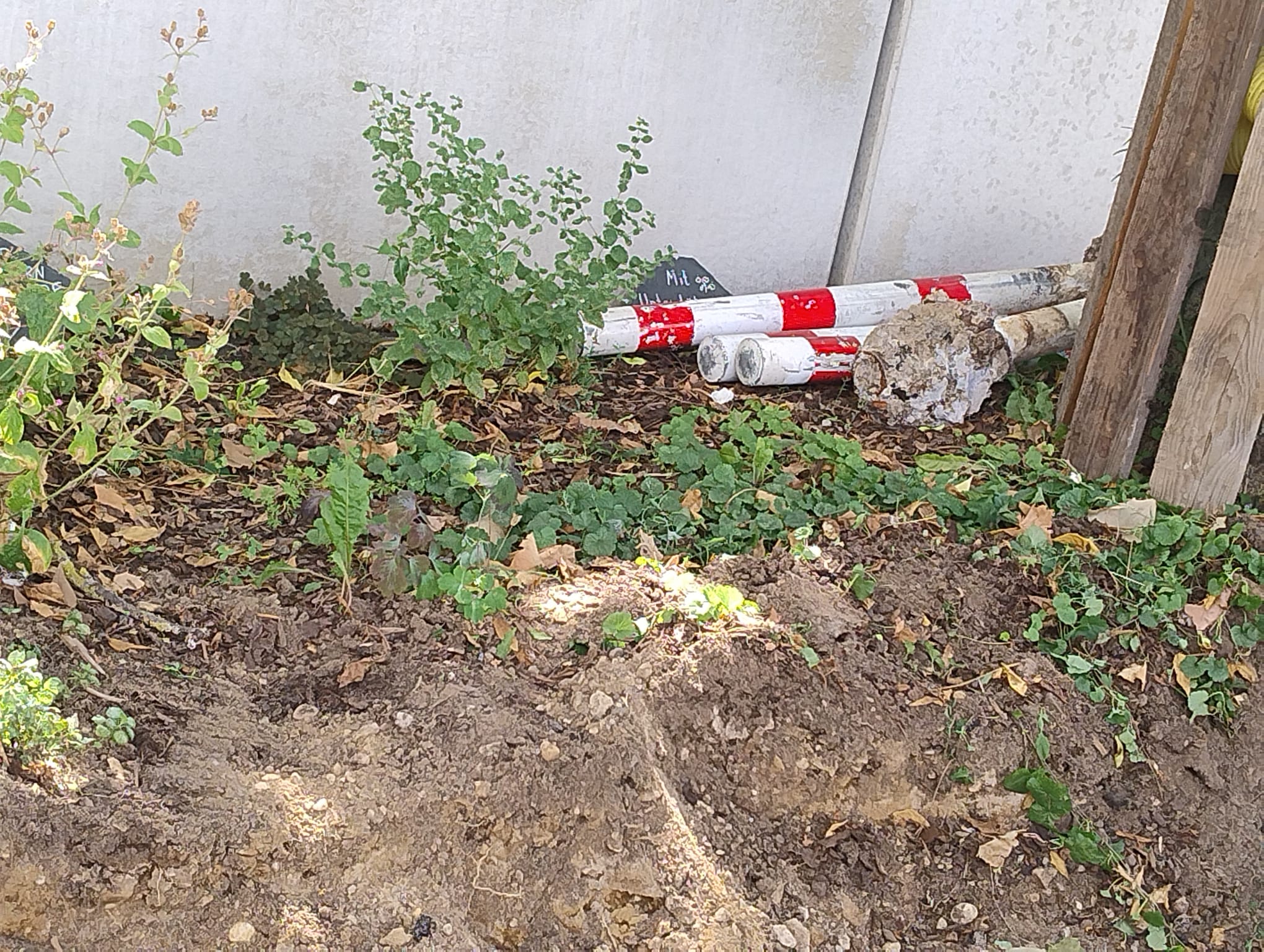 Juli 2025: Pöller am Müllplatz
