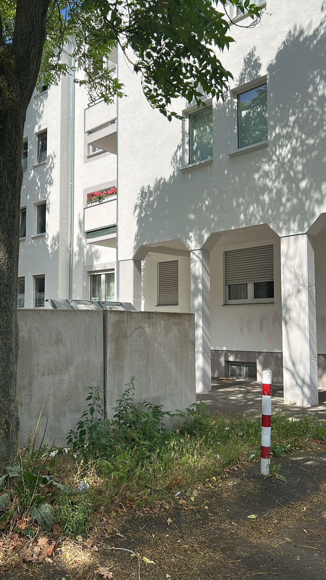 April 2025: Müllplatz Steubenstraße