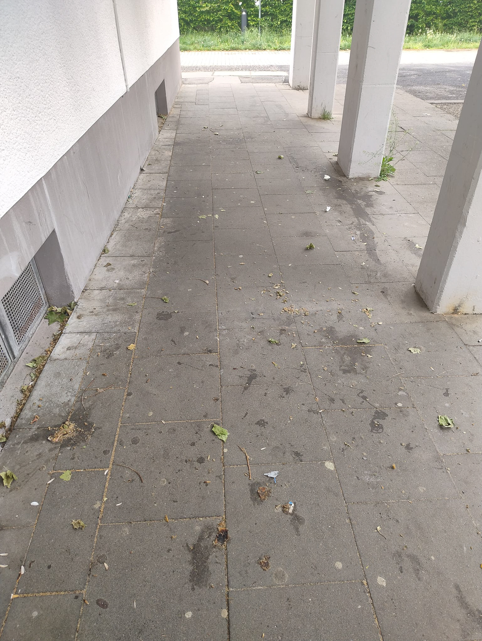 April 2026: Leergeräumter Platz