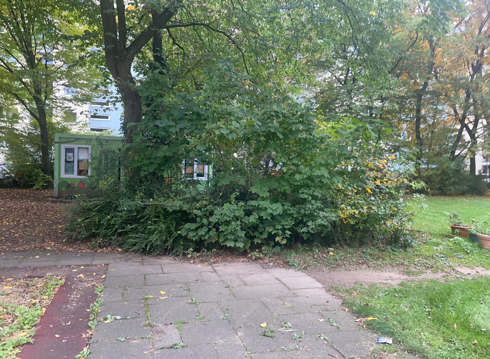 Oktober 2025: Container Frontalansicht