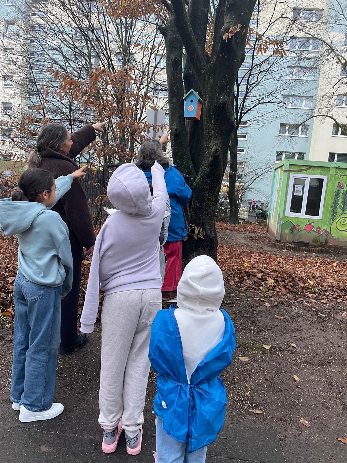 Oktober 2025: Gemeinsames Aufhängen der Nistkästen