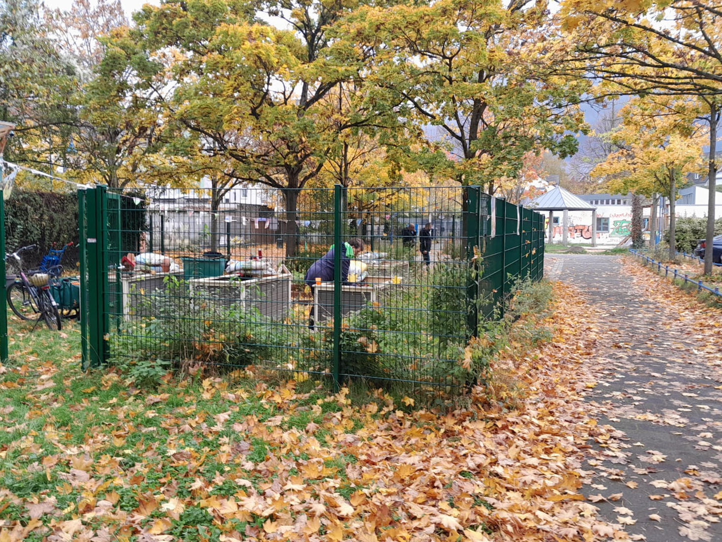 Oktober 2025: Blick auf den Genovevagarten