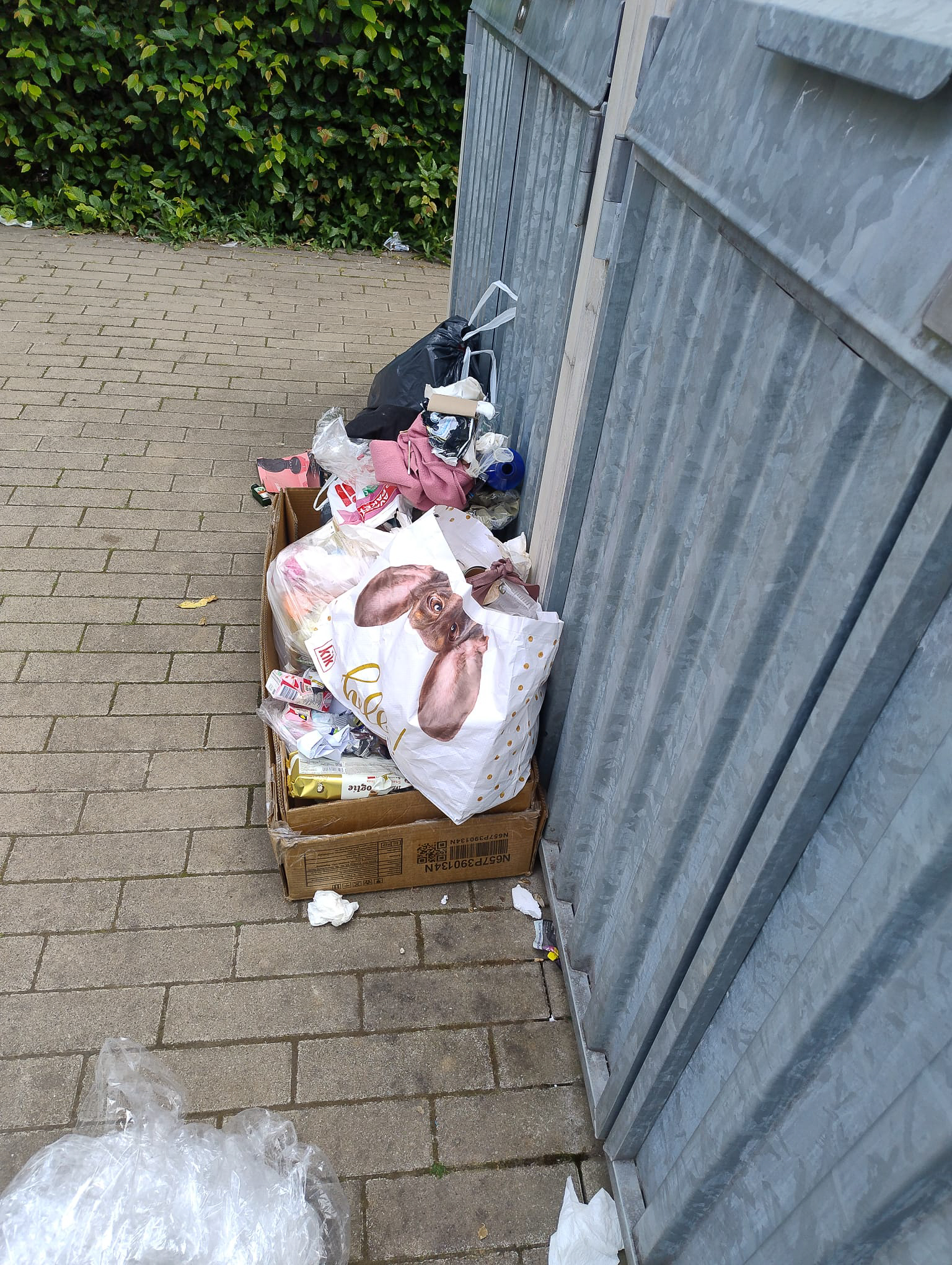 Mai 2026: Wilder Müll am Müllplatz Steubenstraße