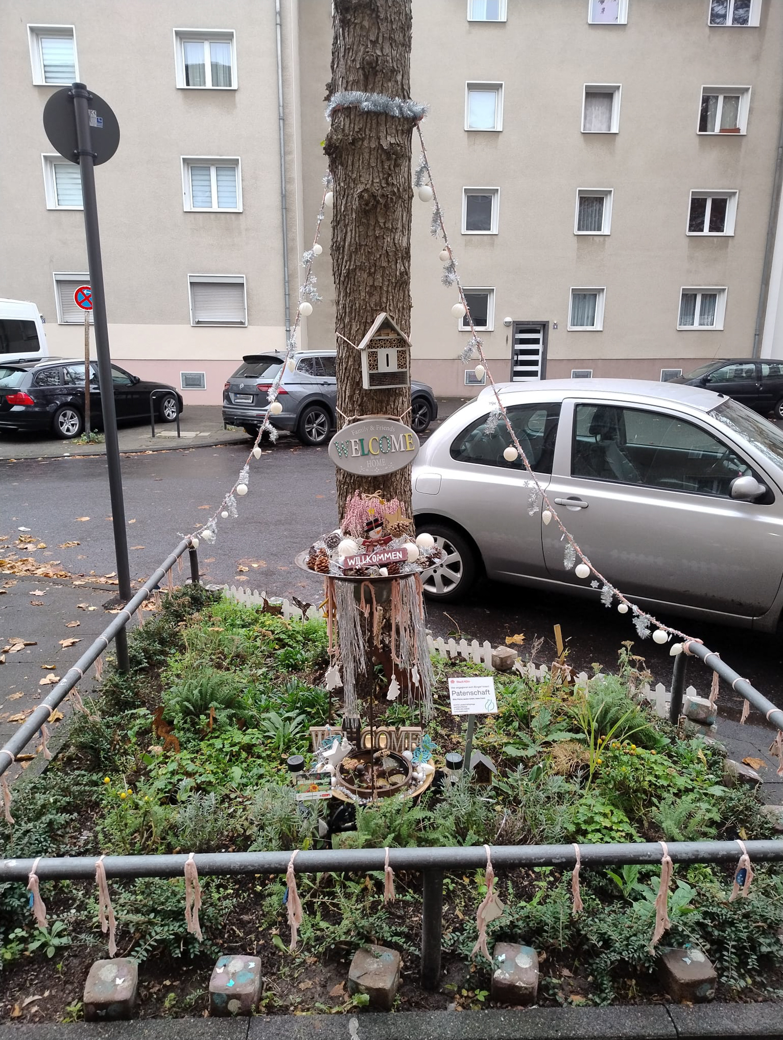 Oktober 2025: Baumscheibe in der Steubenstraße