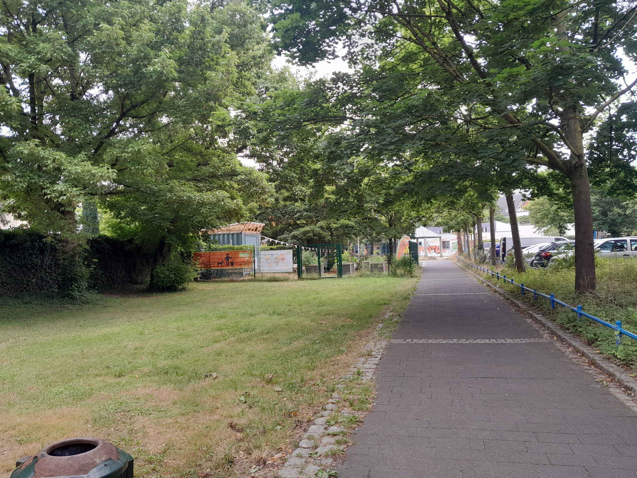 Juli 2025: Fußgängerweg; Blick Richtung Genovevagarten