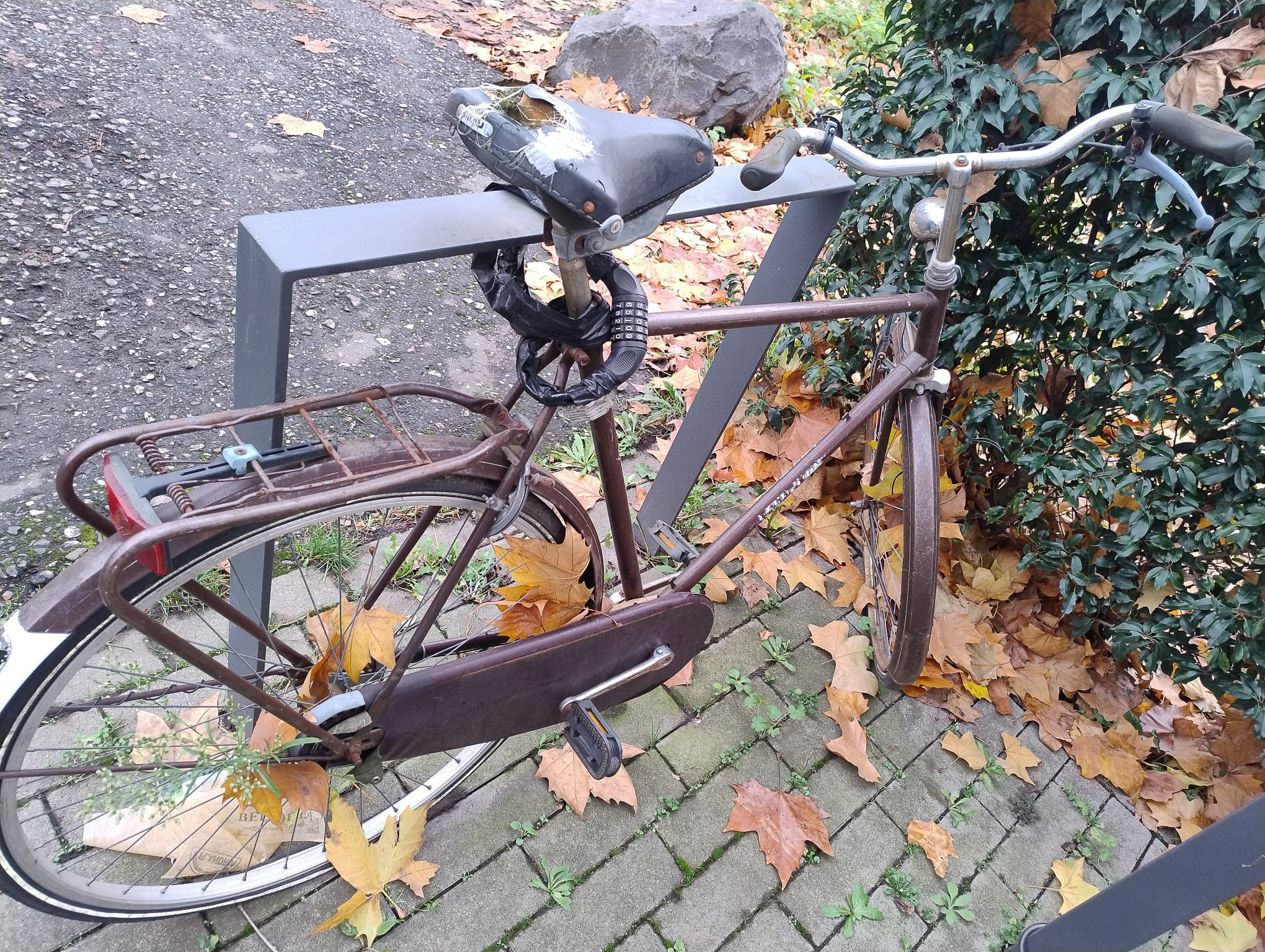 März 2026: Fahrradwrack in der Steubenstraße