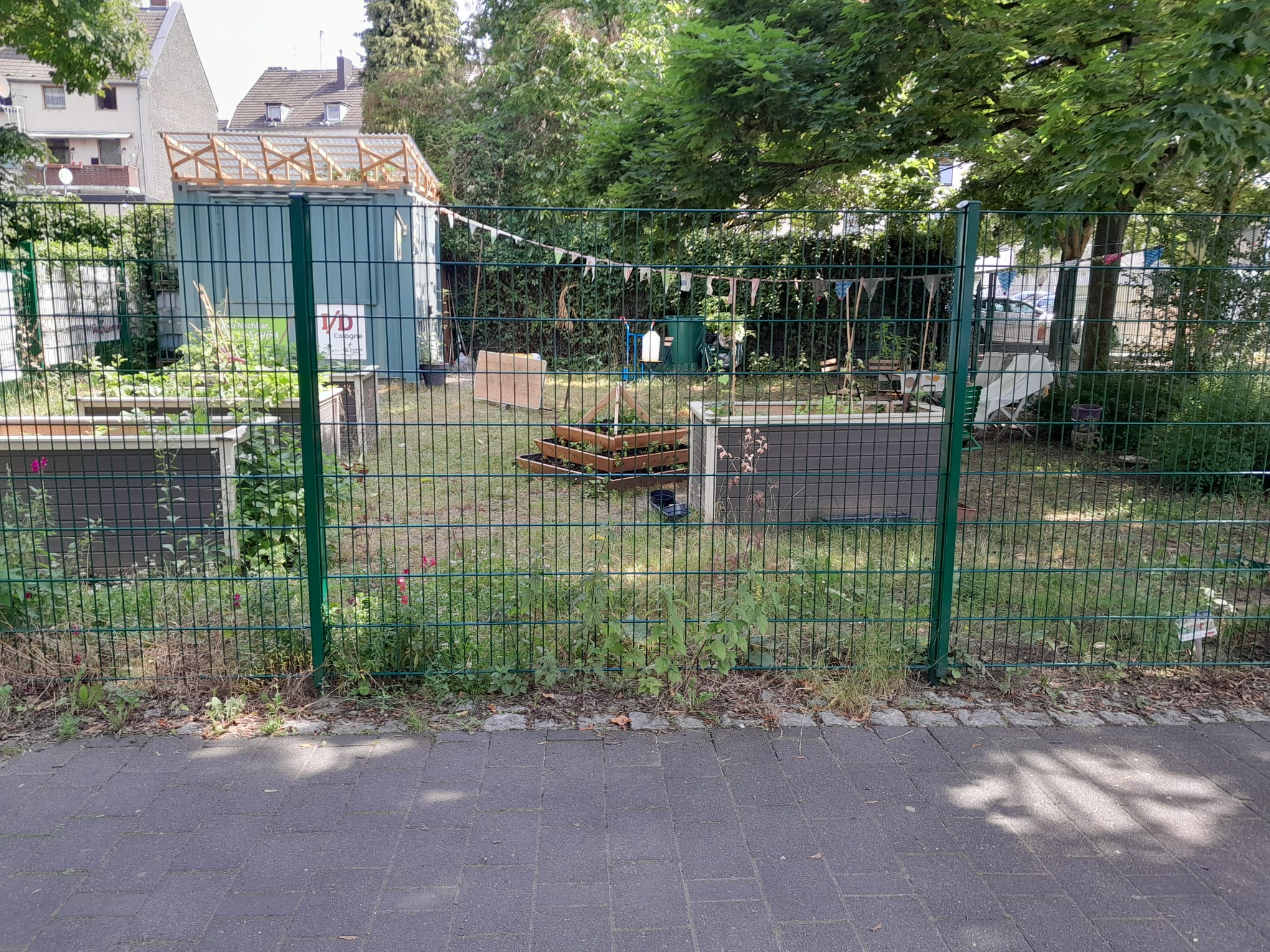 Juni 2025: Genovevagarten