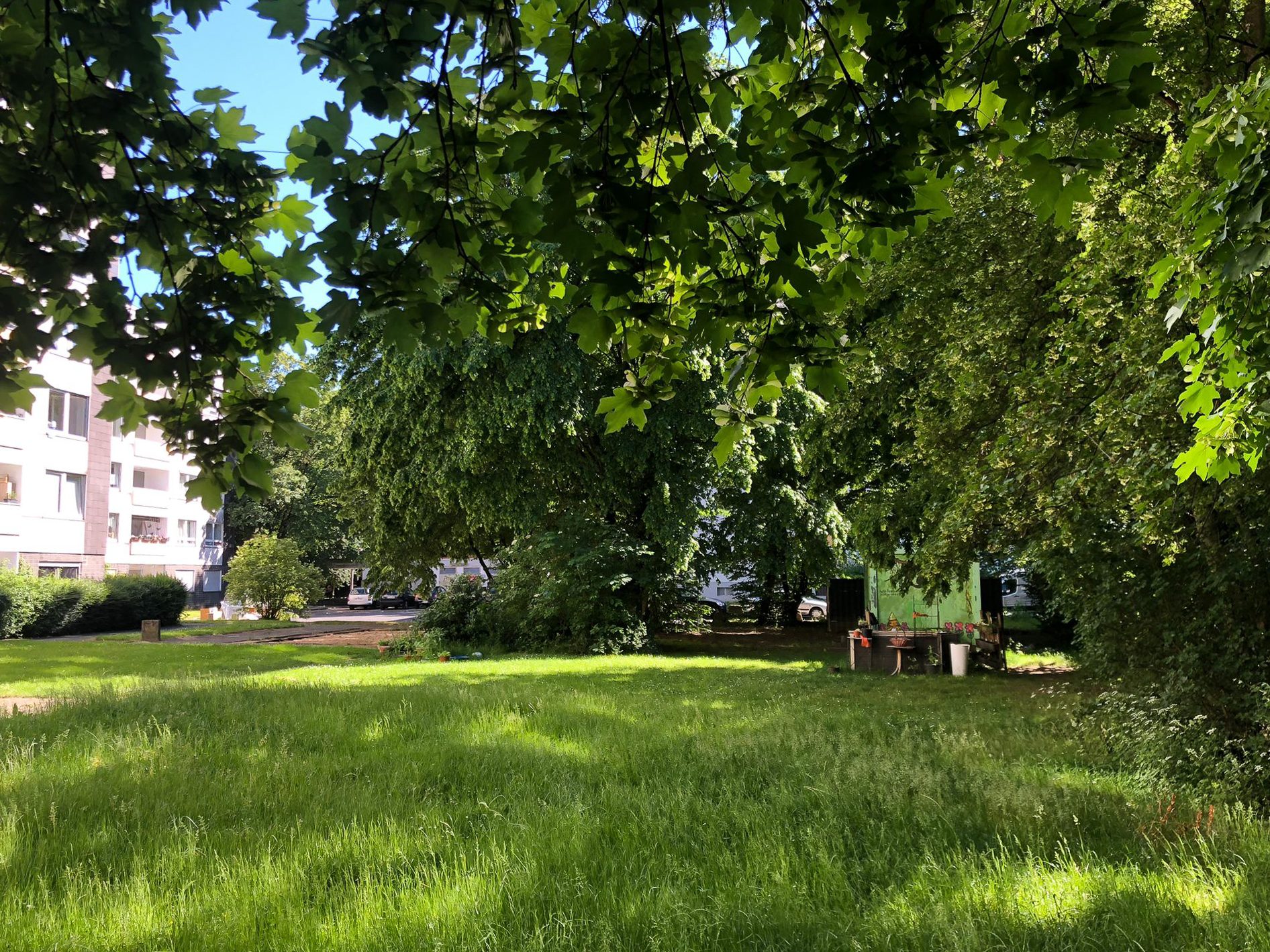 Mai 2026: Rasenfläche Ludwig-Quidde-Platz