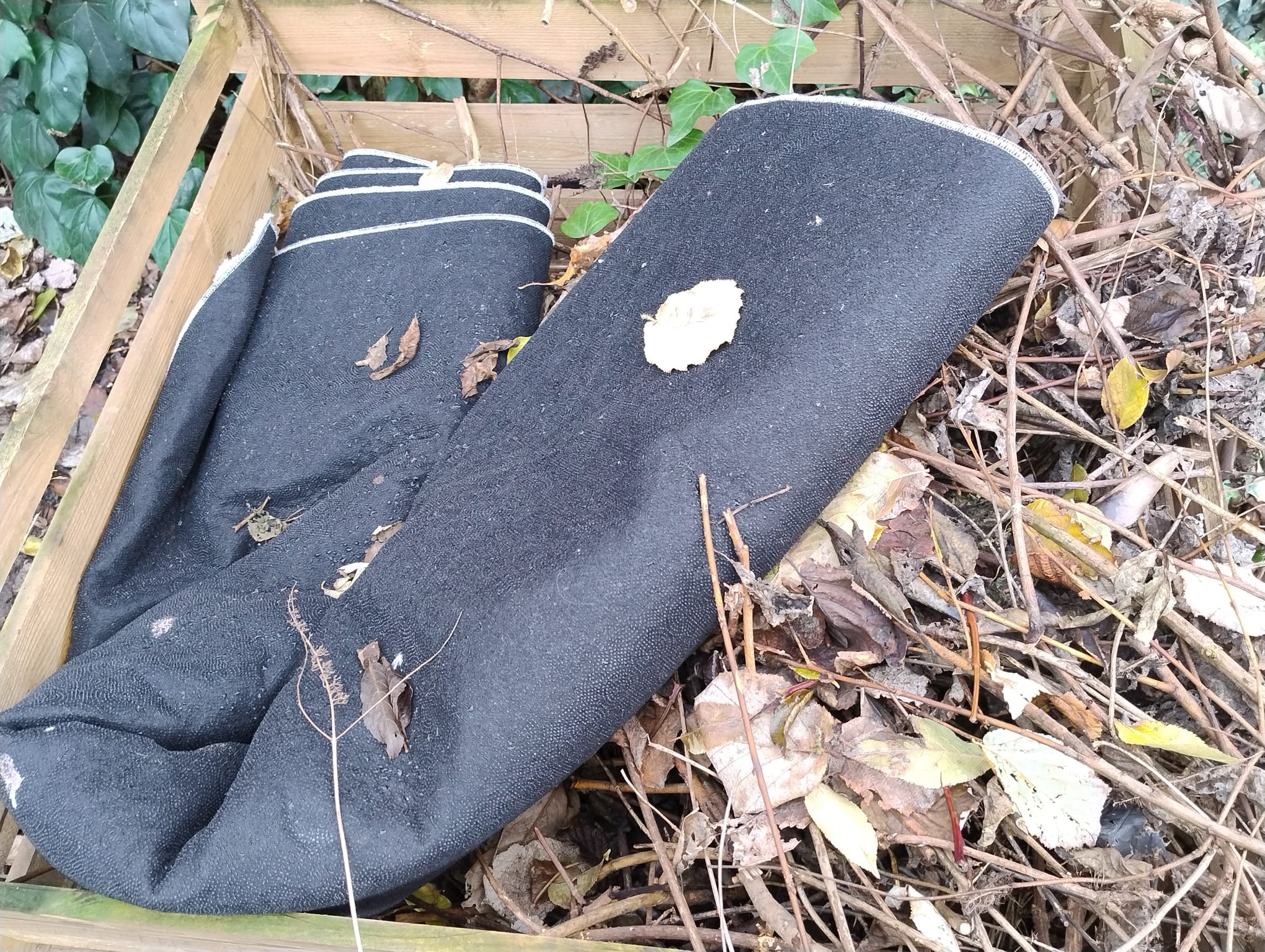 Oktober 2025: Wilder Müll im Vitalisgärtchen