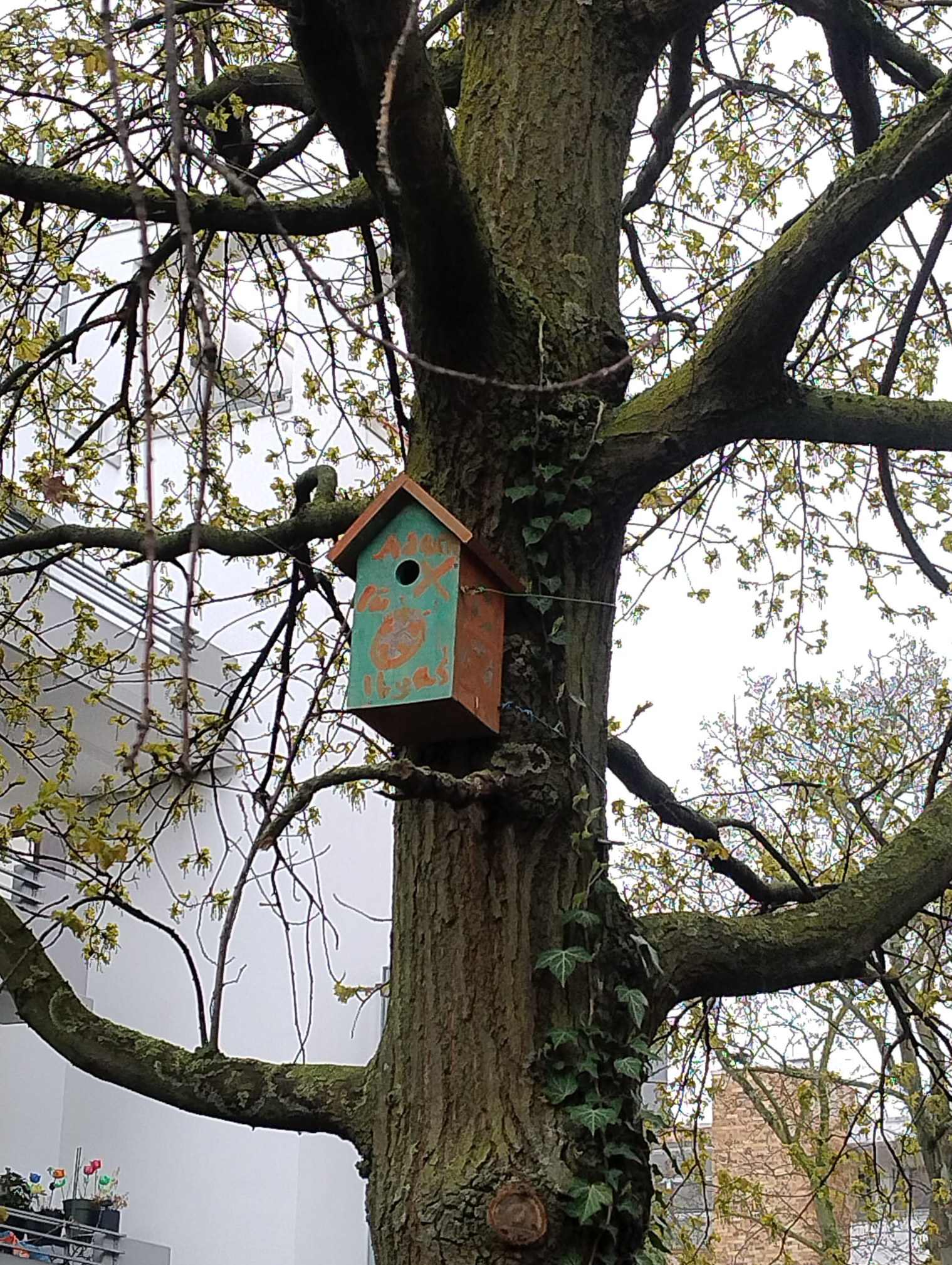 März 2026: Vogelhäuschen im GAG Hof
