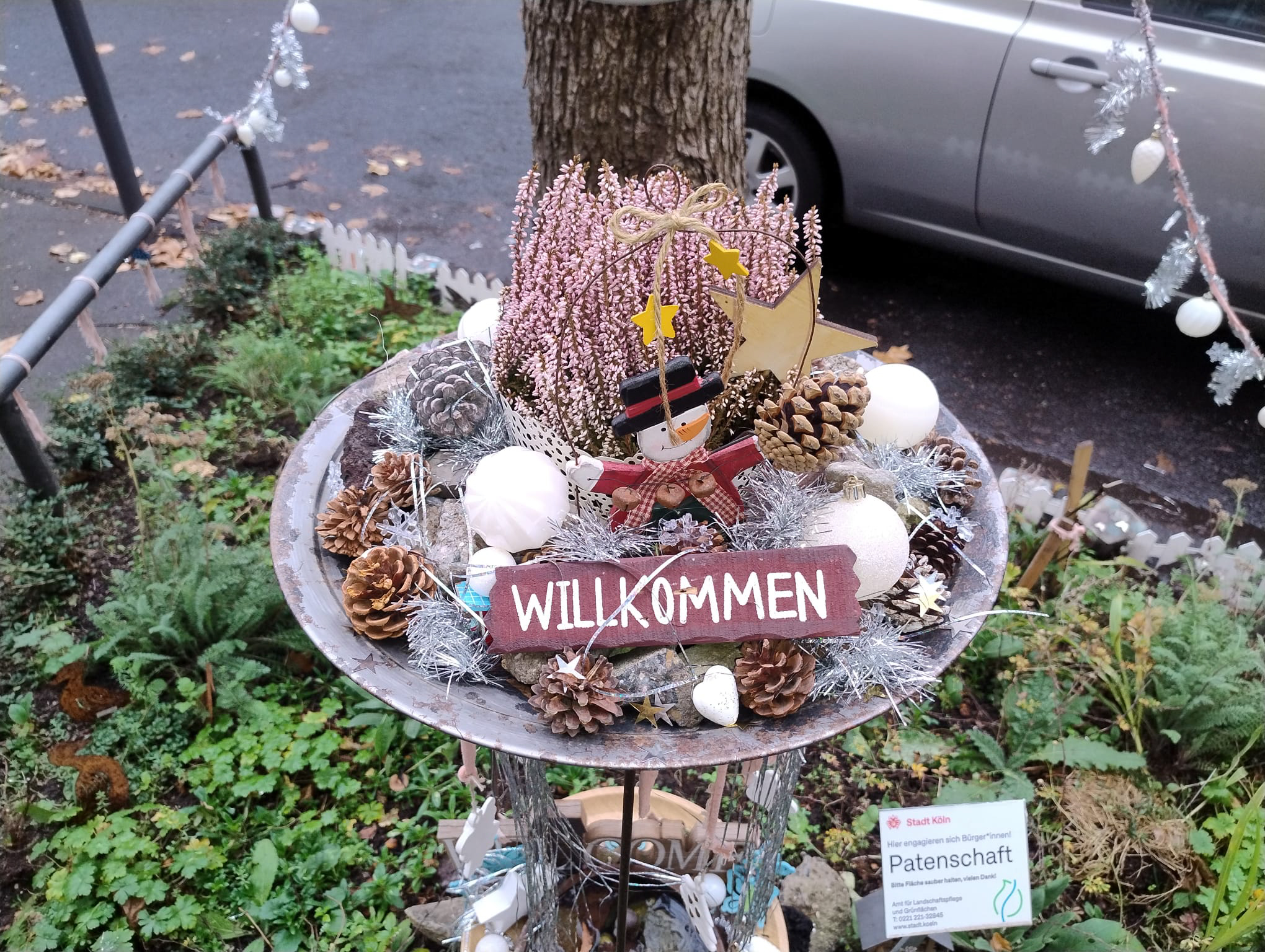 Oktober 2025: Baumscheibe in der Steubenstraße