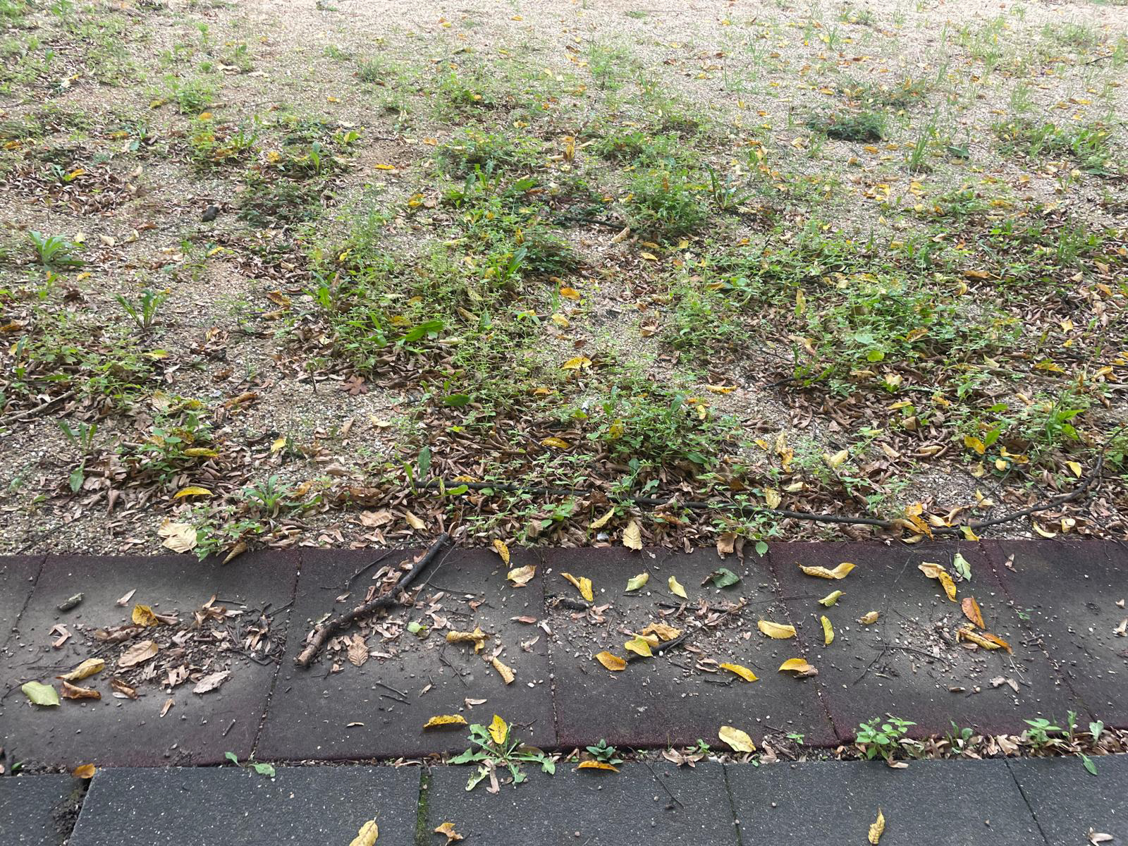 Oktober 2025: Sandkasten Detailaufnahme