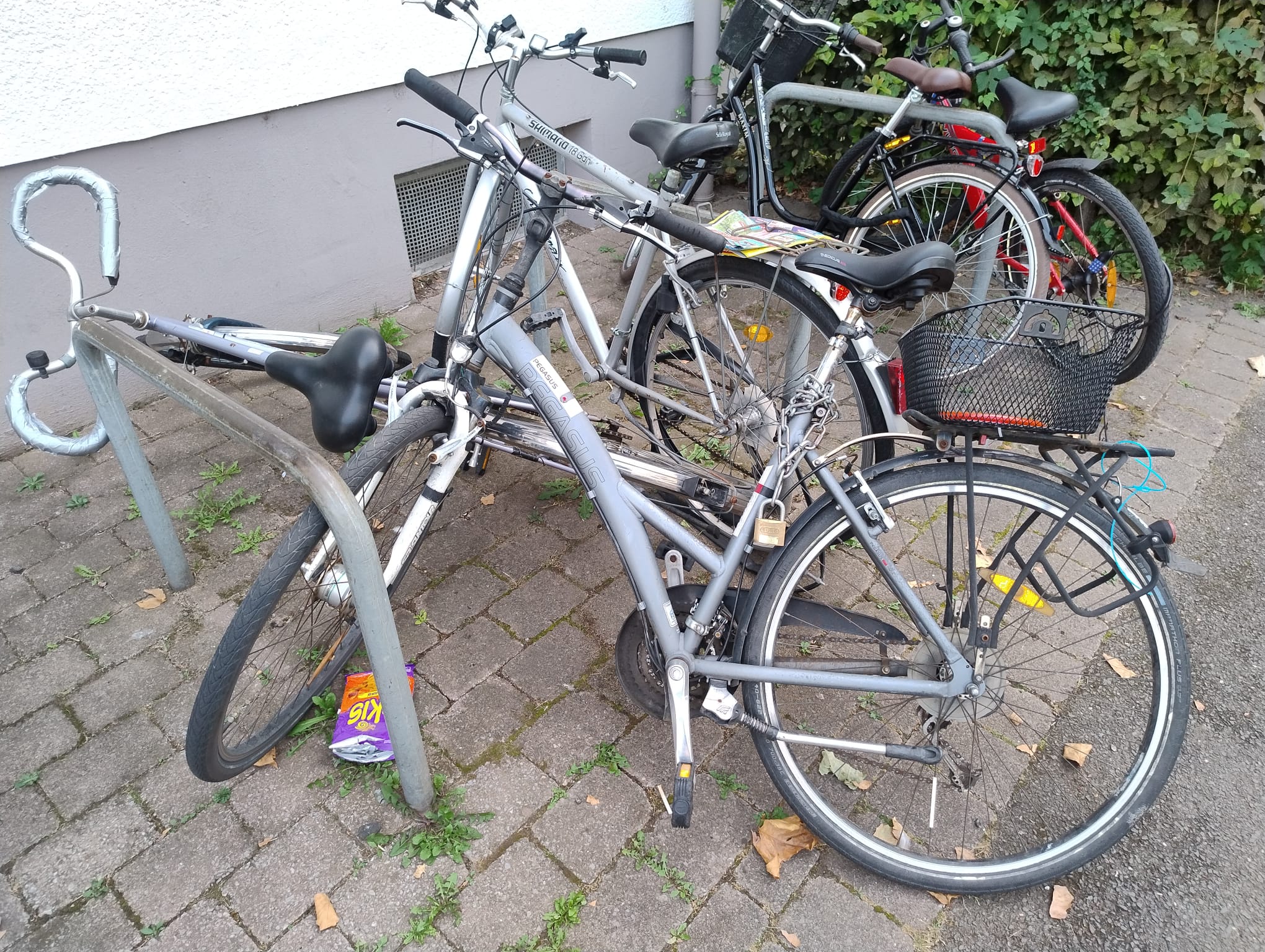 August 2025: Fahrradnadeln in der Steubenstraße (Durchgangsstraße)