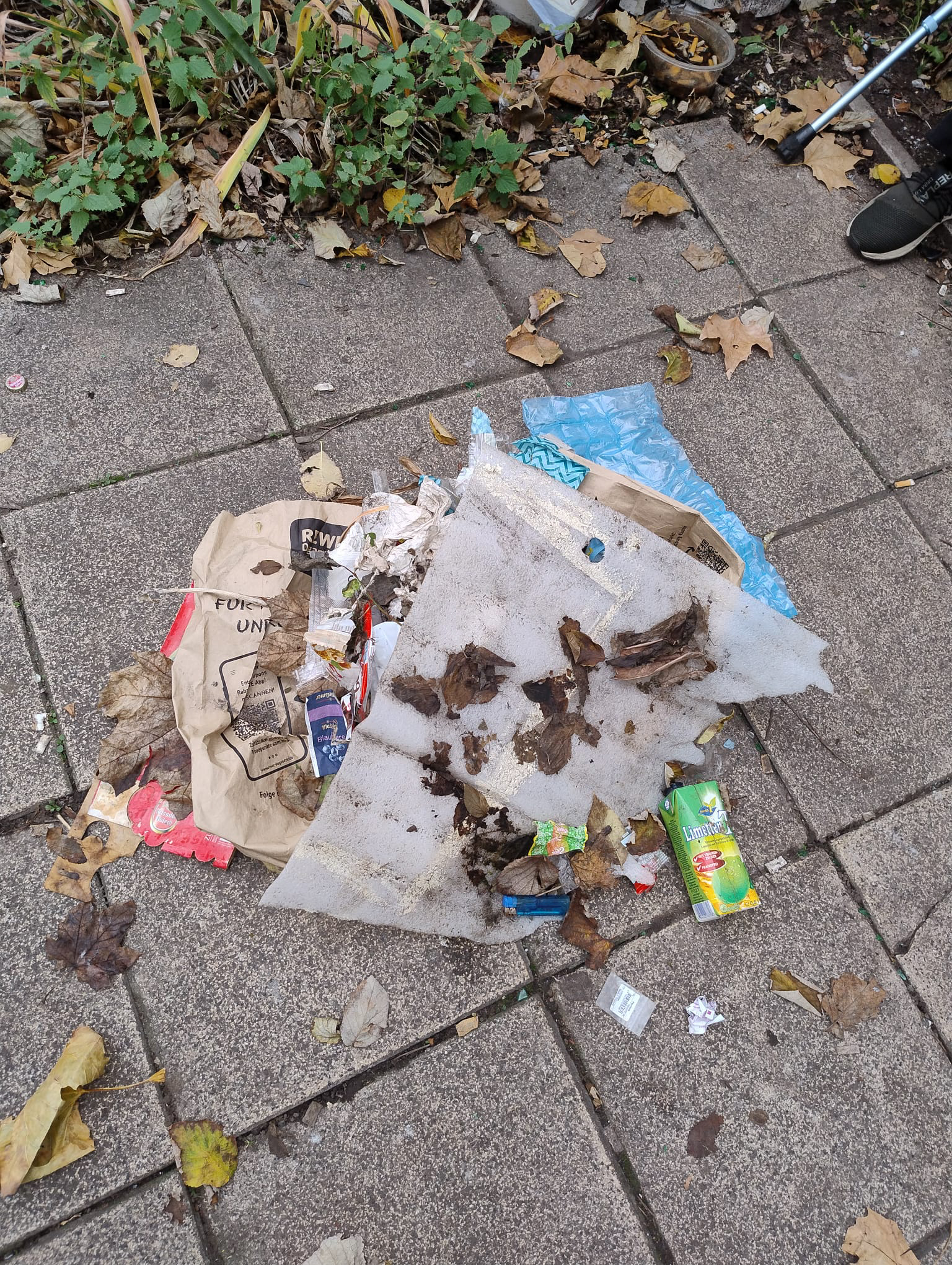 Oktober 2025: Wilder Müll im Vitalisgärtchen