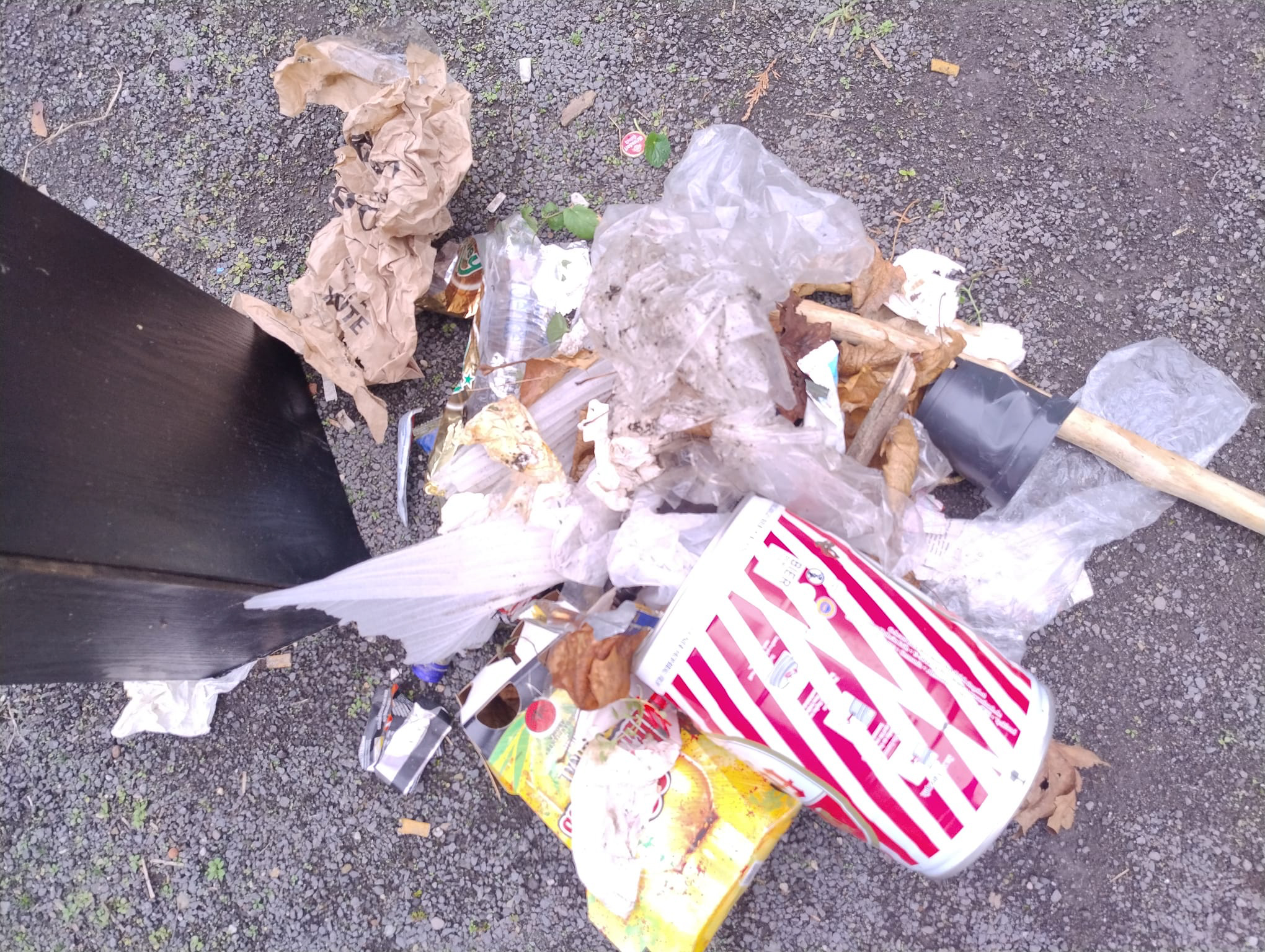 Oktober 2025: Wilder Müll im Vitalisgärtchen