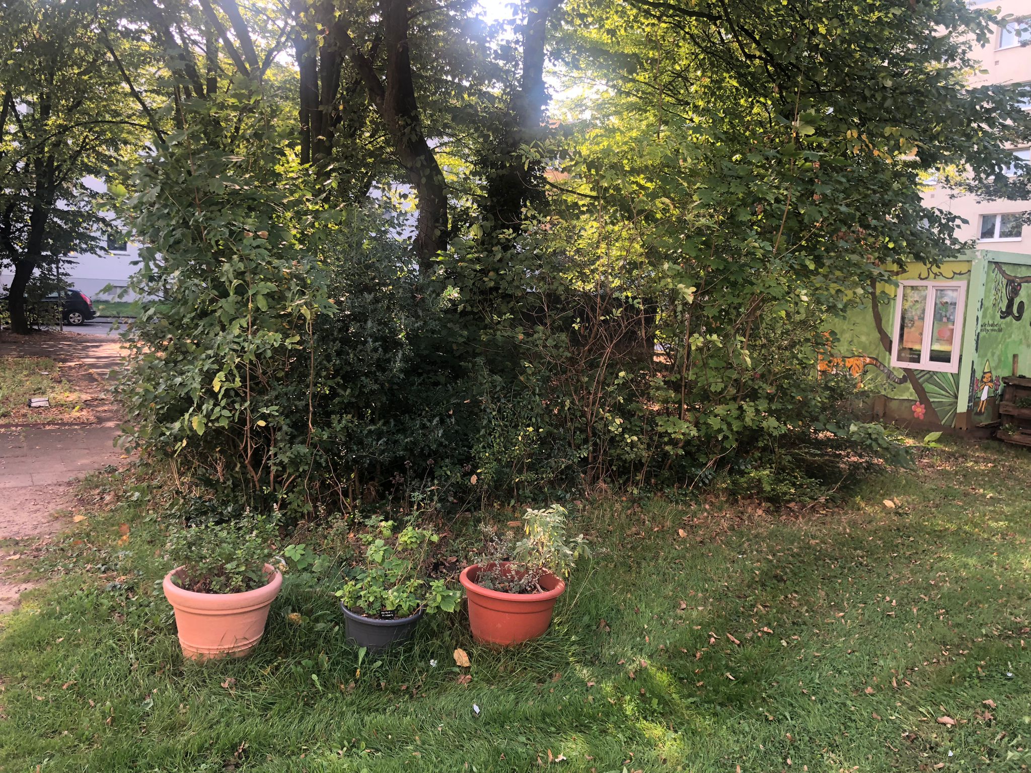 September 2025: Beete auf Rasenfläche