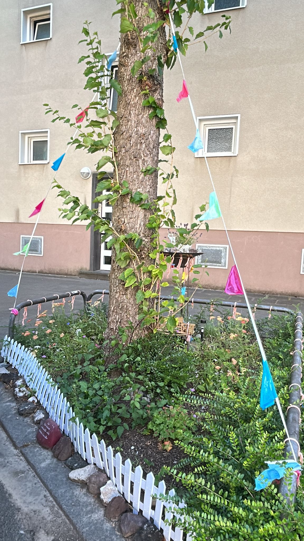 Juni 2025: Straßenbeet in der Steubenstraße