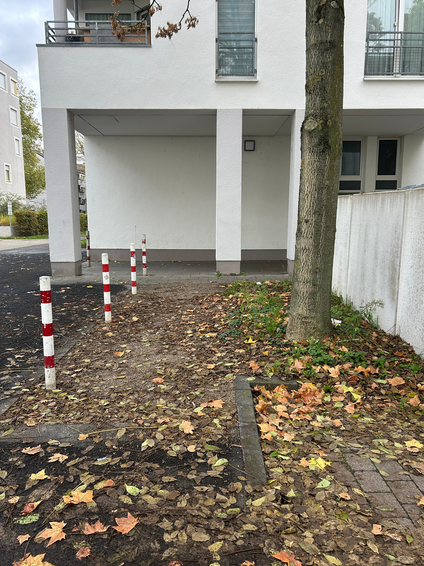 Oktober 2025: Müllplatz Steubenstraße