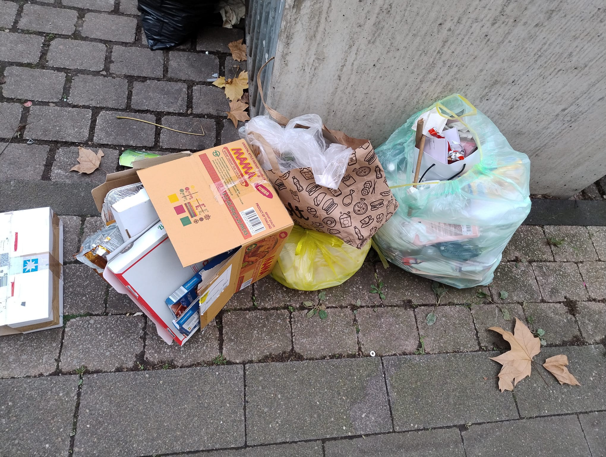 Oktober 2025: Wilder Hausmüll am Müllplatz Steubenstraße