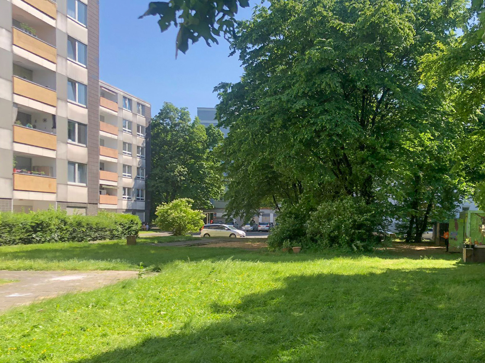 Mai 2025: Rasenfläche Ludwig-Quidde-Platz