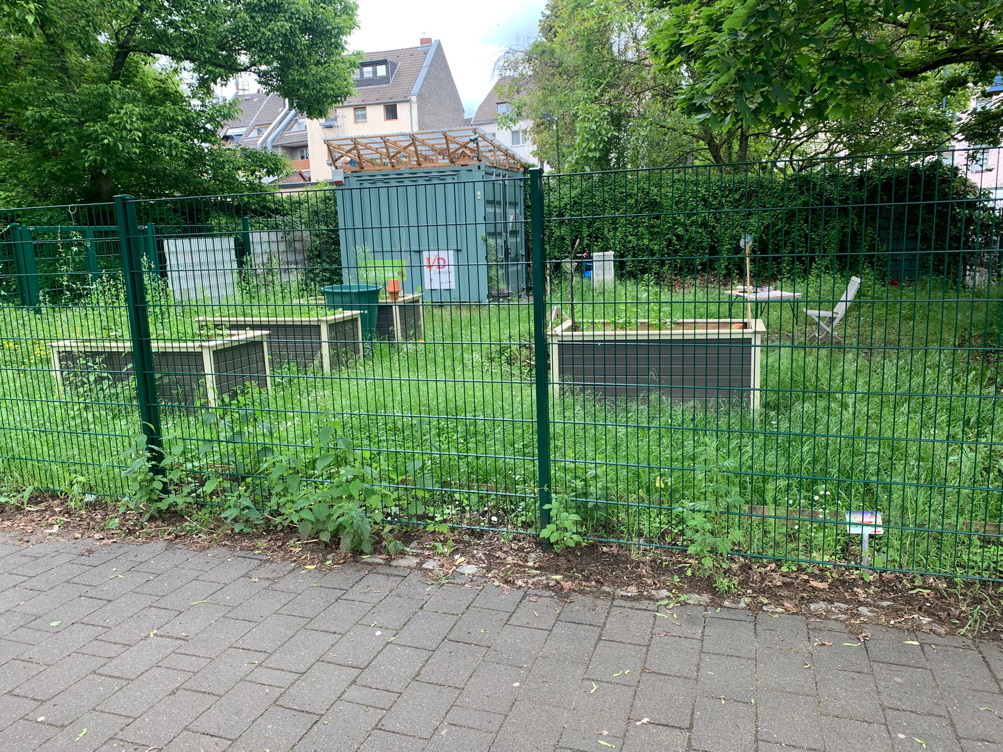 Mai 2026: Genovevagarten