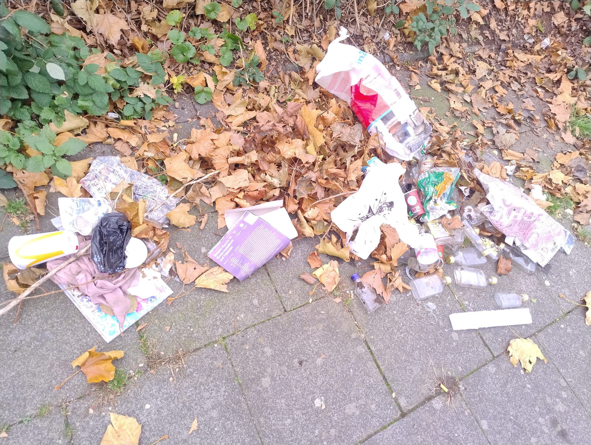 Oktober 2025: Wilder Müll im Vitalisgärtchen