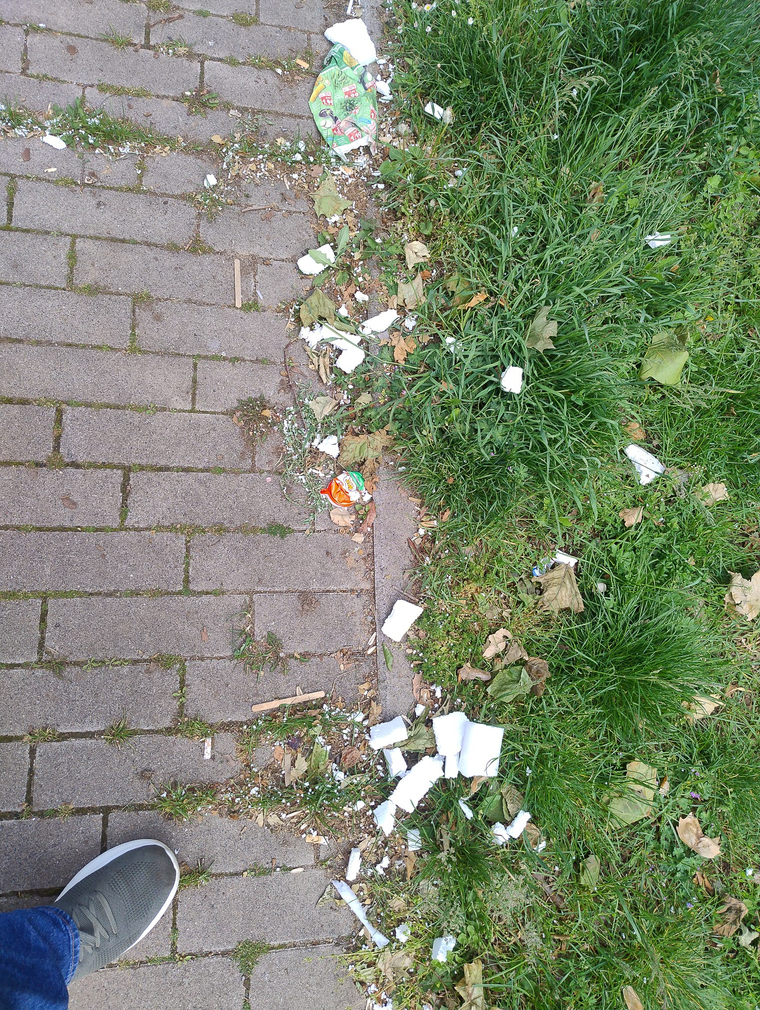 Mai 2026: Streumüll am Wegrand