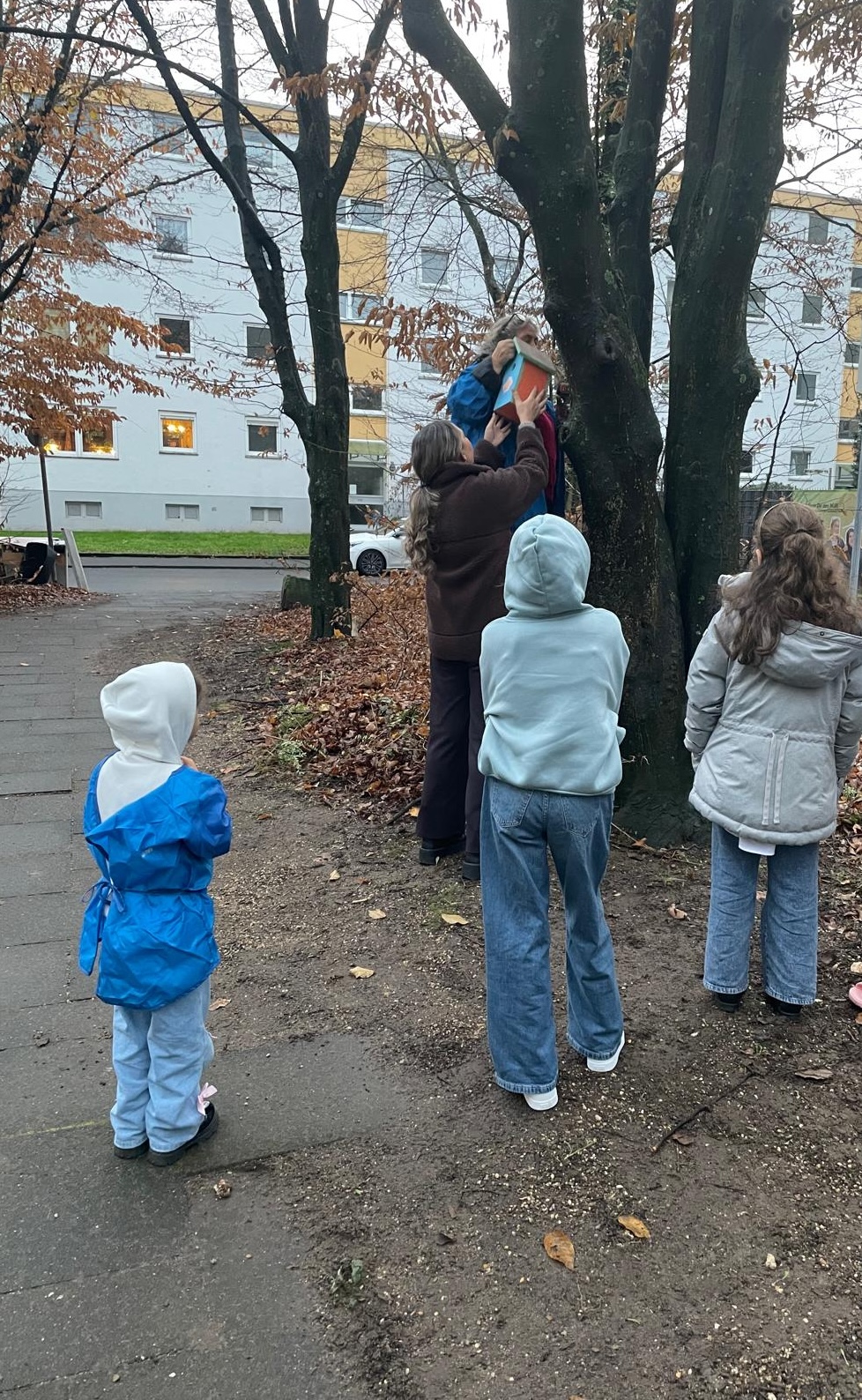 Oktober 2025: Gemeinsames Aufhängen der Nistkästen