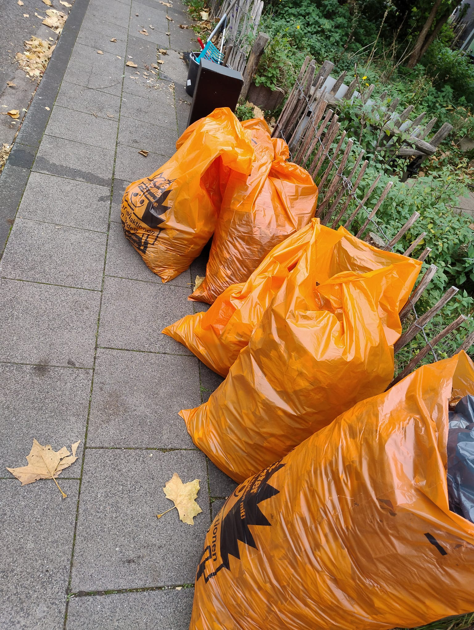 Oktober 2025: Ausbeute "Spar Dir den Müll"-Aktion im Vitalisgärtchen