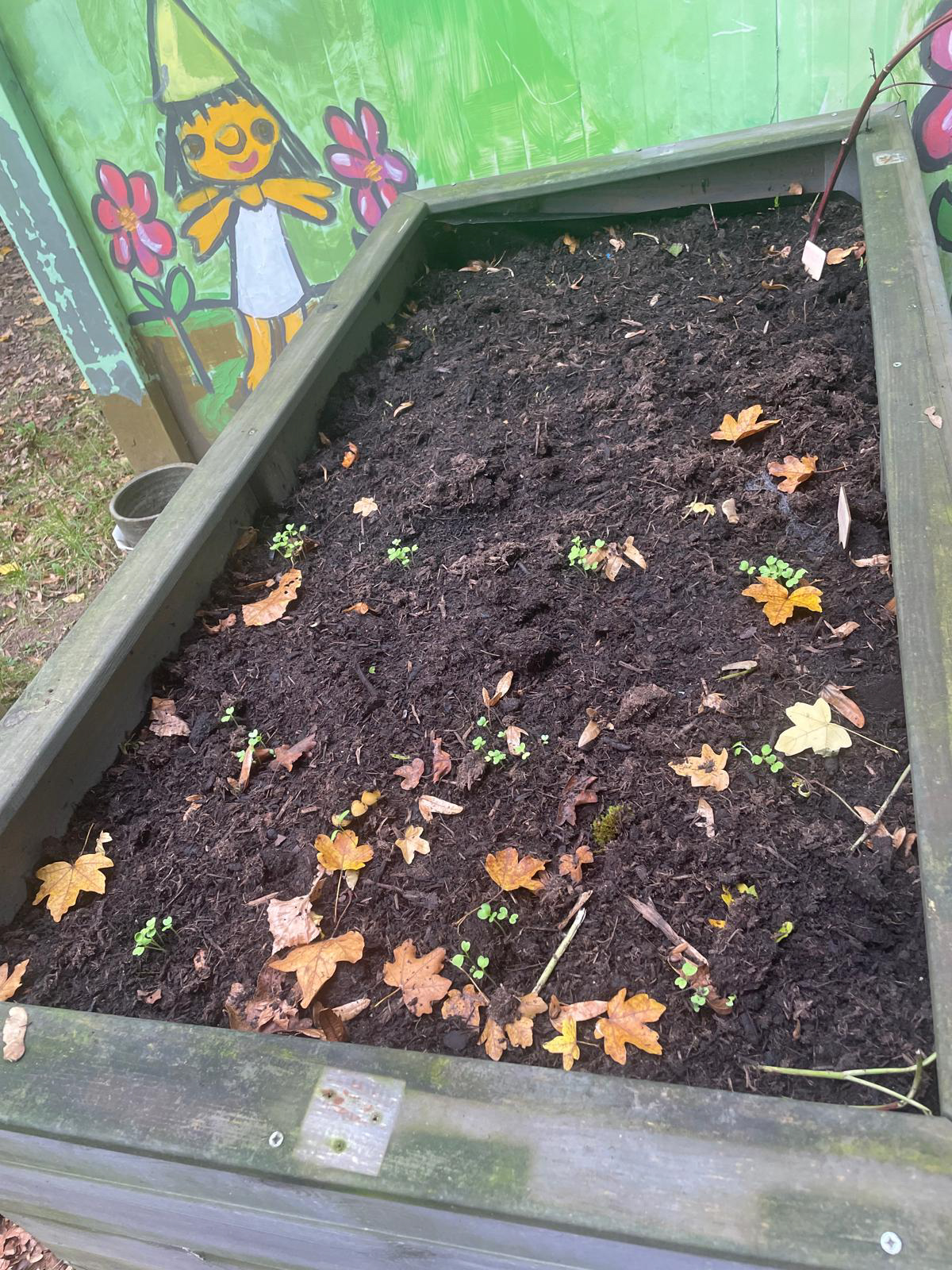 Oktober 2025: Nahansicht Beet am Container